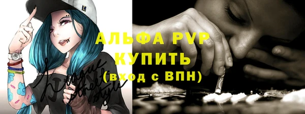 прущие грибы Балахна