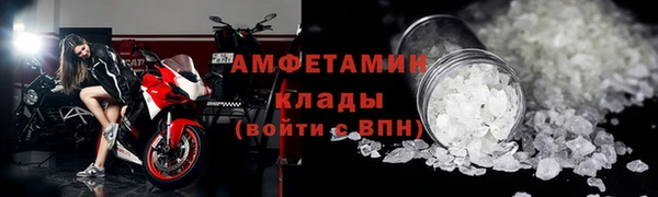 прущие грибы Балахна