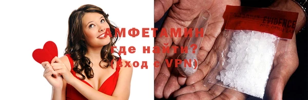 прущие грибы Балахна