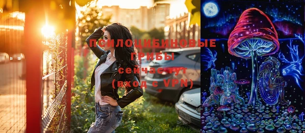 прущие грибы Балахна